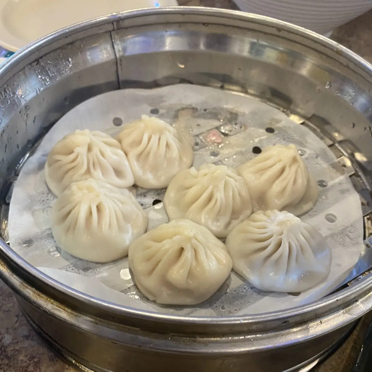 steamed dumpling 小笼包 8